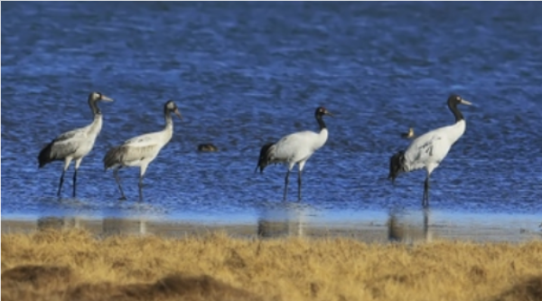 修改尺寸 (1).png