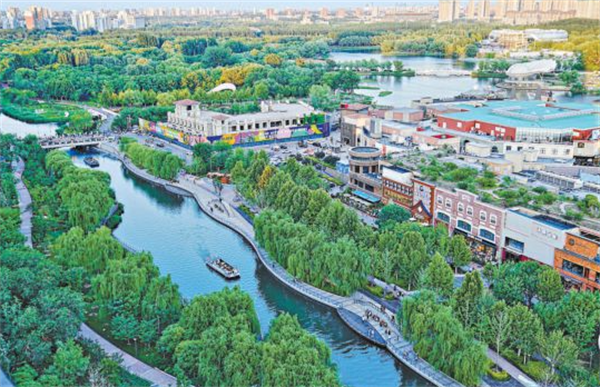 1762931415220960.png f19c38a0-4e91-417b-a909-f4b890832334.png